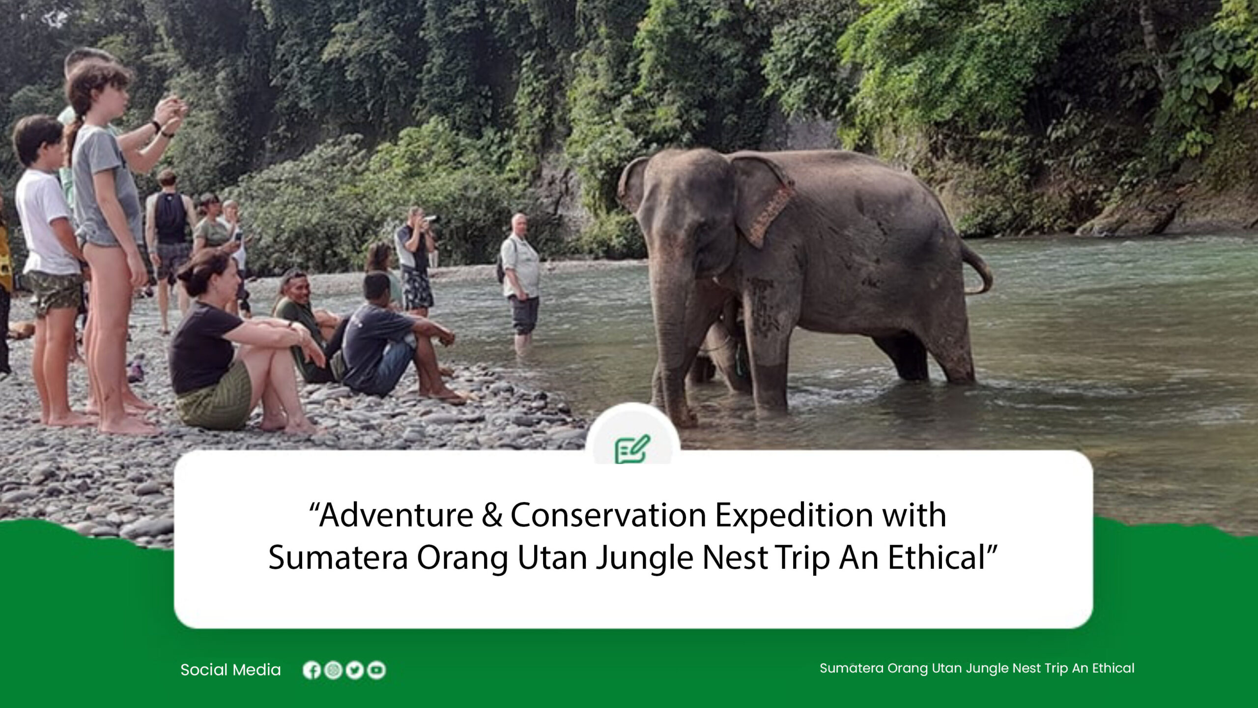 Adventure & Conservation Expedition with Sumatera Orang Utan Jungle Nest Trip An Ethical