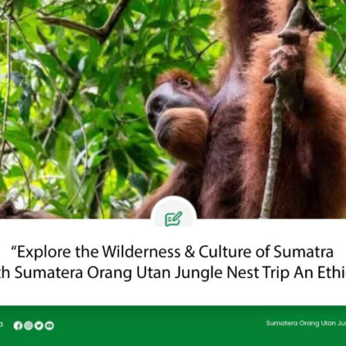 Explore the Wilderness & Culture of Sumatra