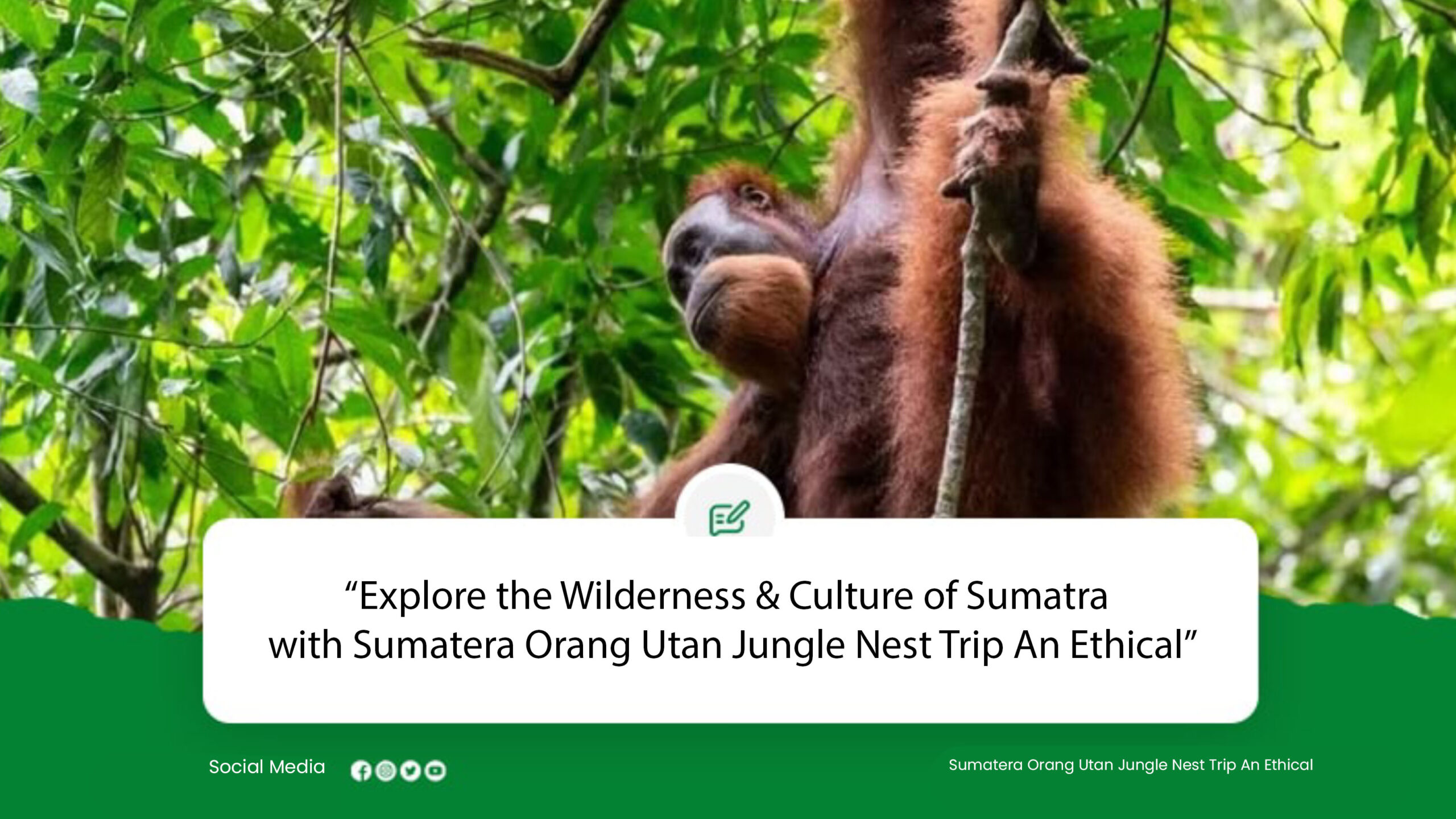 Explore the Wilderness & Culture of Sumatra
