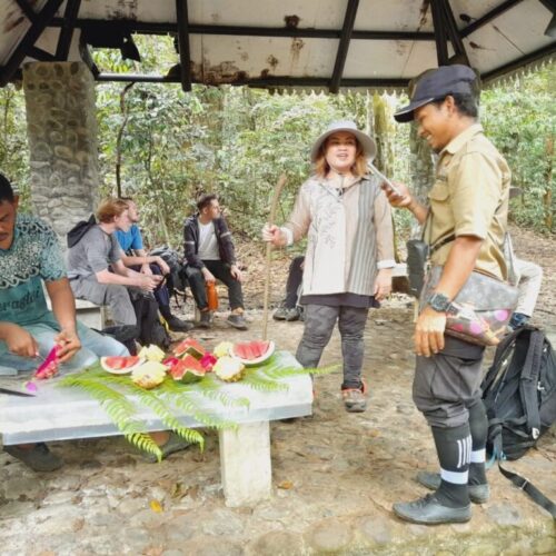 Galeri Sumatra Jungle Nest Trekking (10)