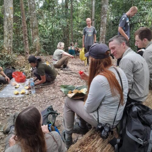 Galeri Sumatra Jungle Nest Trekking (12)