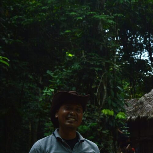 Galeri Sumatra Jungle Nest Trekking (13)
