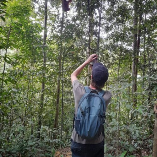 Galeri Sumatra Jungle Nest Trekking (20)