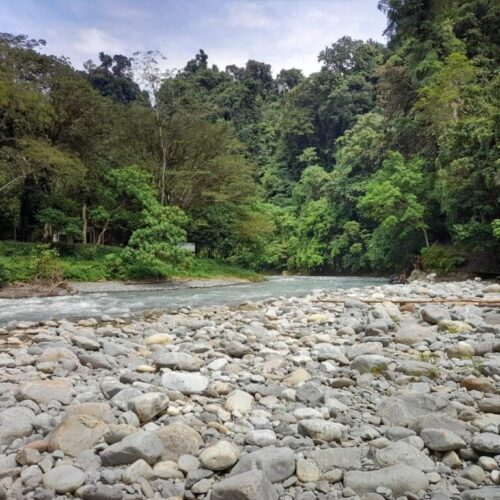 Galeri Sumatra Jungle Nest Trekking (21)