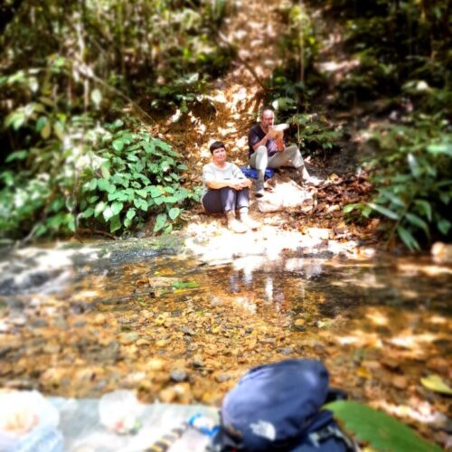 Galeri Sumatra Jungle Nest Trekking (22)