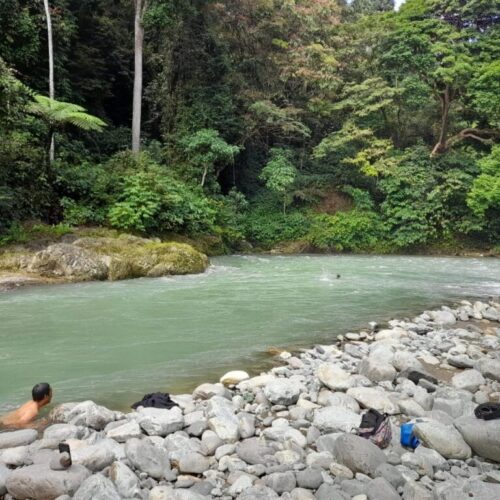 Galeri Sumatra Jungle Nest Trekking (23)