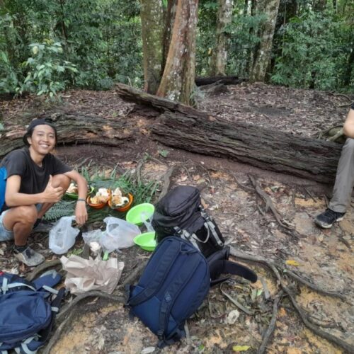 Galeri Sumatra Jungle Nest Trekking (26)