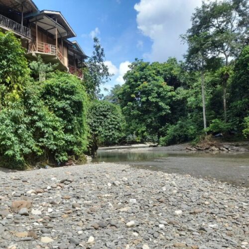 Galeri Sumatra Jungle Nest Trekking (27)