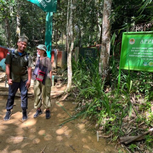 Galeri Sumatra Jungle Nest Trekking (48)