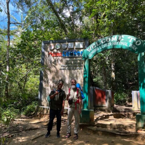 Galeri Sumatra Jungle Nest Trekking (49)