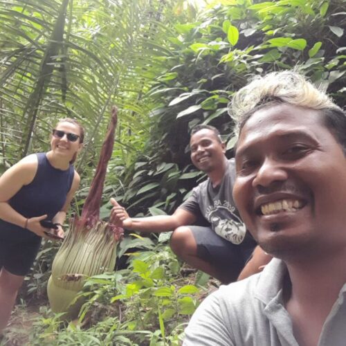 Galeri Sumatra Jungle Nest Trekking (50)
