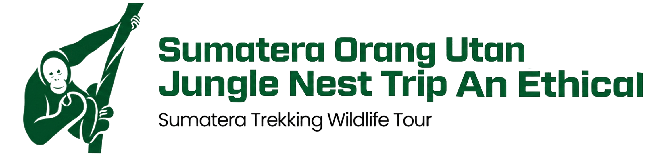 Sumatera Orang Utan Jungle Nest Trip An Ethical